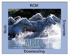 MRED Logo